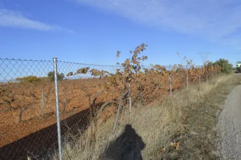 Terreno en Carretera de Santa Cruz,