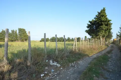 Terreno en La Solana