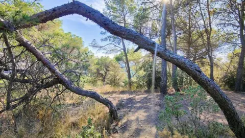 Terreno en Castellar del Valles