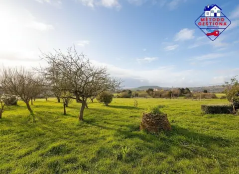 Casa en Avenida de Cantabria