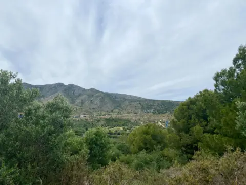 Terreno en El Pinar - Palacio de Congreso