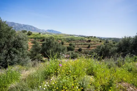 Terreno en Entrerrios