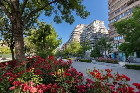 Piso en Avenida de la Constitución