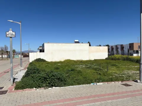 Terreno en calle Petunia