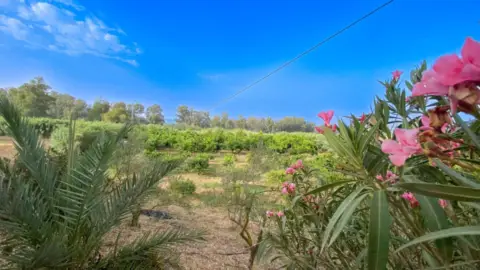Casa en calle Viuda Chica, nº 1