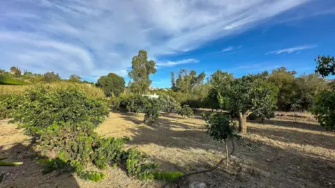 Terreno en Carretera de Coín, 1