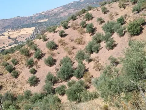 Terreno en South Of Spain