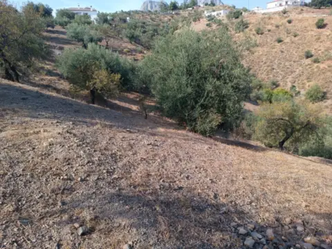 Terreno en South Of Spain