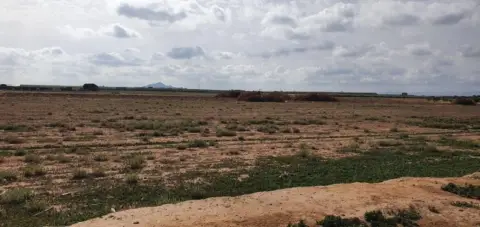 Finca rústica en Los Martínez del Puerto