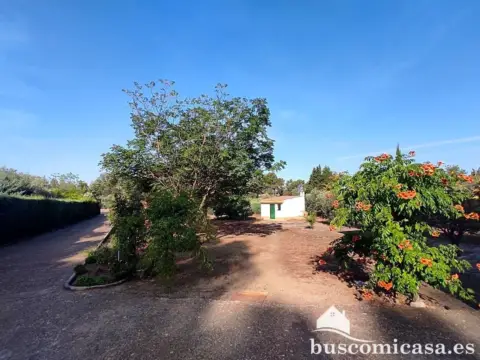 Finca rústica en calle Principal