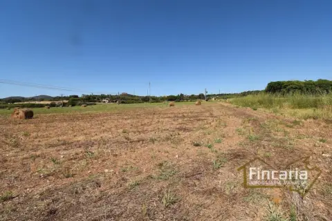 Finca rústica en Carretera de Manacor a Porto Cristo