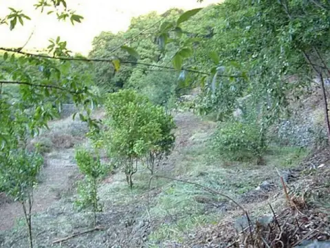 Terreno en calle los Aceriños, nº 34