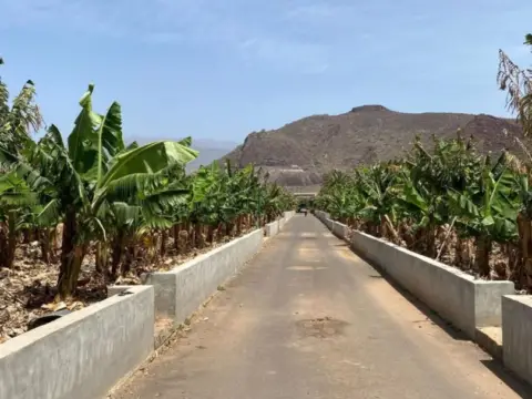 Chalet en Camino de las Cercas