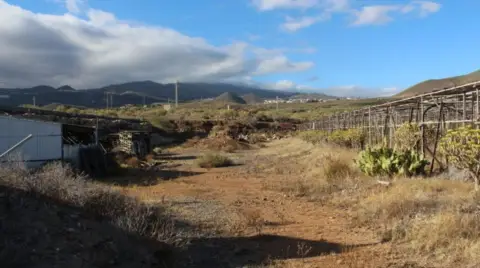 Terreno en calle La Ortiga, nº 9
