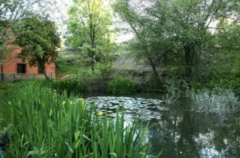 Finca rústica en calle Diseminado Diseminados, nº 1039