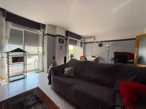 Piso en Avenida del Mediterráneo