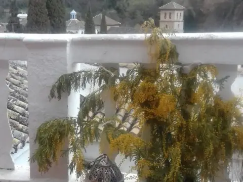 Piso en Albaicín