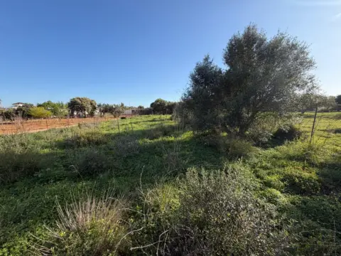 Terreno en La Soledad