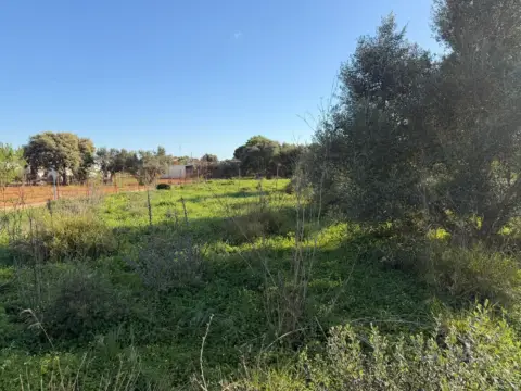 Terreno en La Soledad