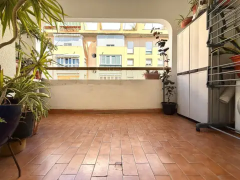 Piso en Avenida del Ejercito
