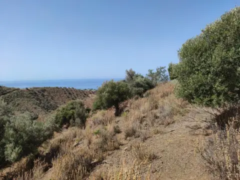 Terreno en Carretera de Chilches