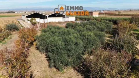Nave industrial en calle Afores, nº S/N