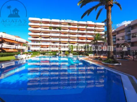 Estudio en Tenerife North