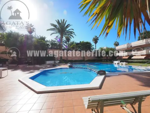 Estudio en Tenerife North