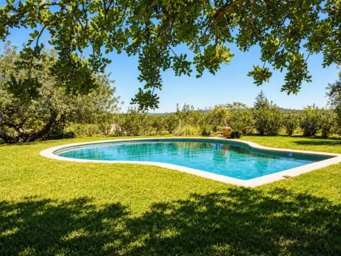 Chalet en Marratxí
