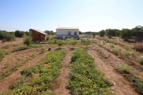 Finca rústica en calle Polígono 18 Paraje 83 los Arenales