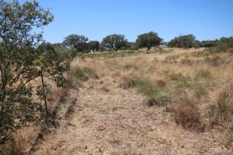 Terreno en Urbanización Tres Arroyos