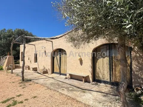 Finca rústica en Camí Trinitat