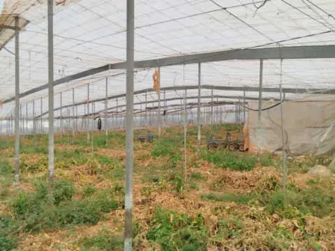 Finca rústica en calle Guájar-Faragüit