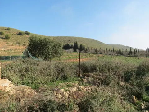 Terreno en calle Las Marinas