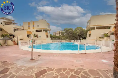 Apartamento en Avenida de los Pinares