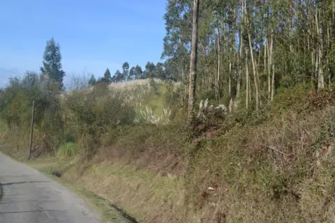 Terreno en calle Venta Puga