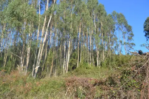 Terreno en calle Venta Puga