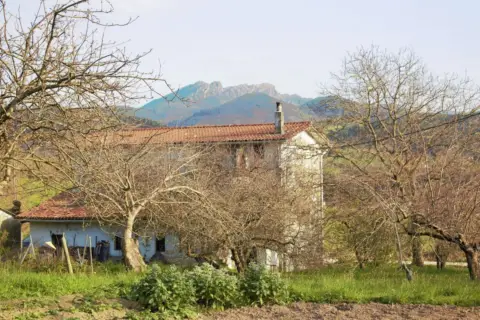 Rural Property in Barrio de Ventas, 104