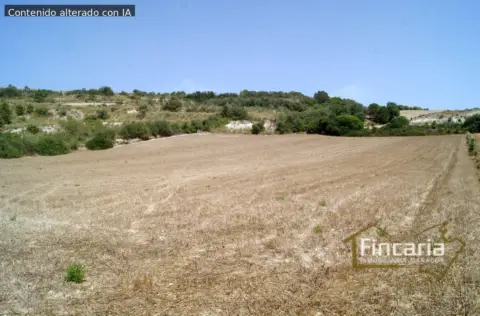 Terreno en calle Camí de Sa Murtera