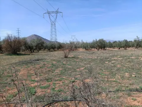 Terreno en calle La Zanja, nº 25