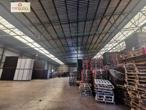 Nave industrial en Zona Centro