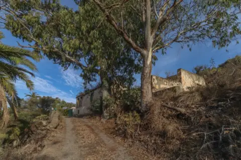 Finca rústica en calle Tafira Sn los Frailes