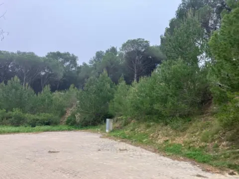 Terreno en calle Dr Fco Javier Irurita