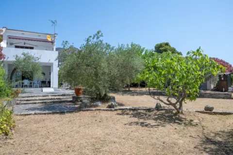 Chalet en Carrer de la Selva