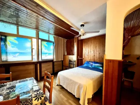 Estudio en Tenerife North