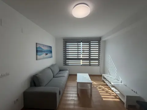 Piso en Avenida del Primero de Mayo