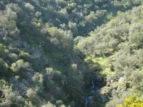 Finca rústica en Alcántara