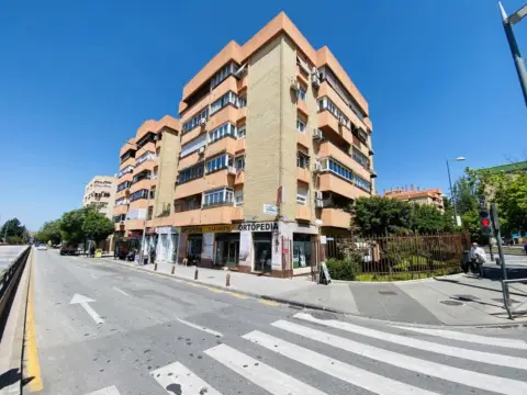 Piso en calle del Pintor Francisco Pradilla