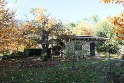 Finca rústica en calle Avial