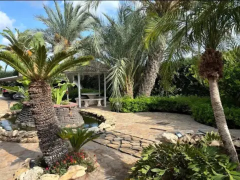 Calle Santa Pola -Elche